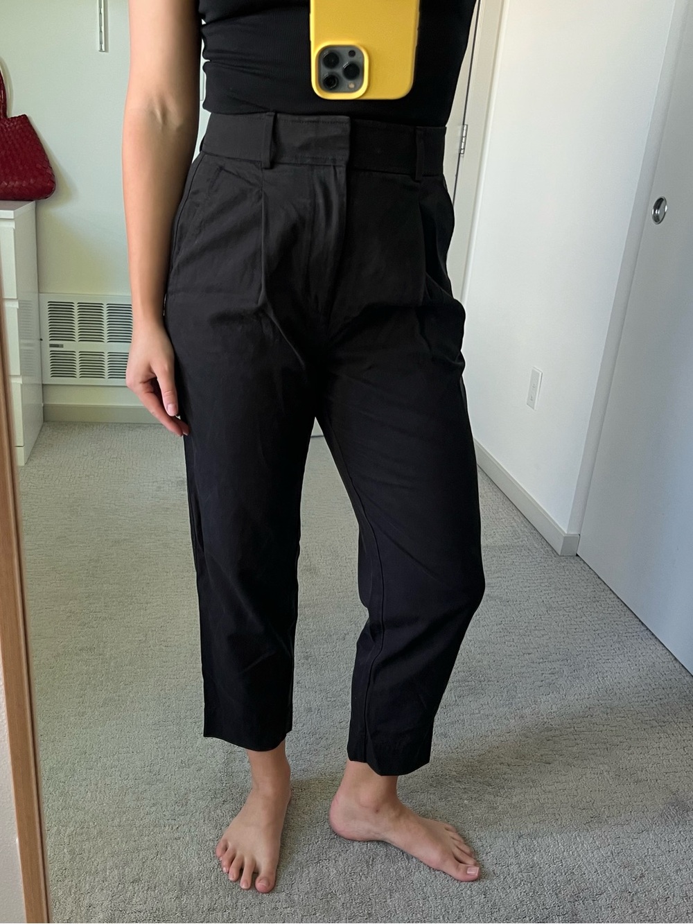 Everlane Black Pleated Chinos size 6